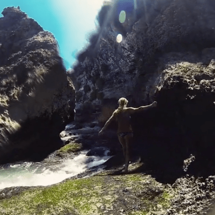 a cow is standing in the water