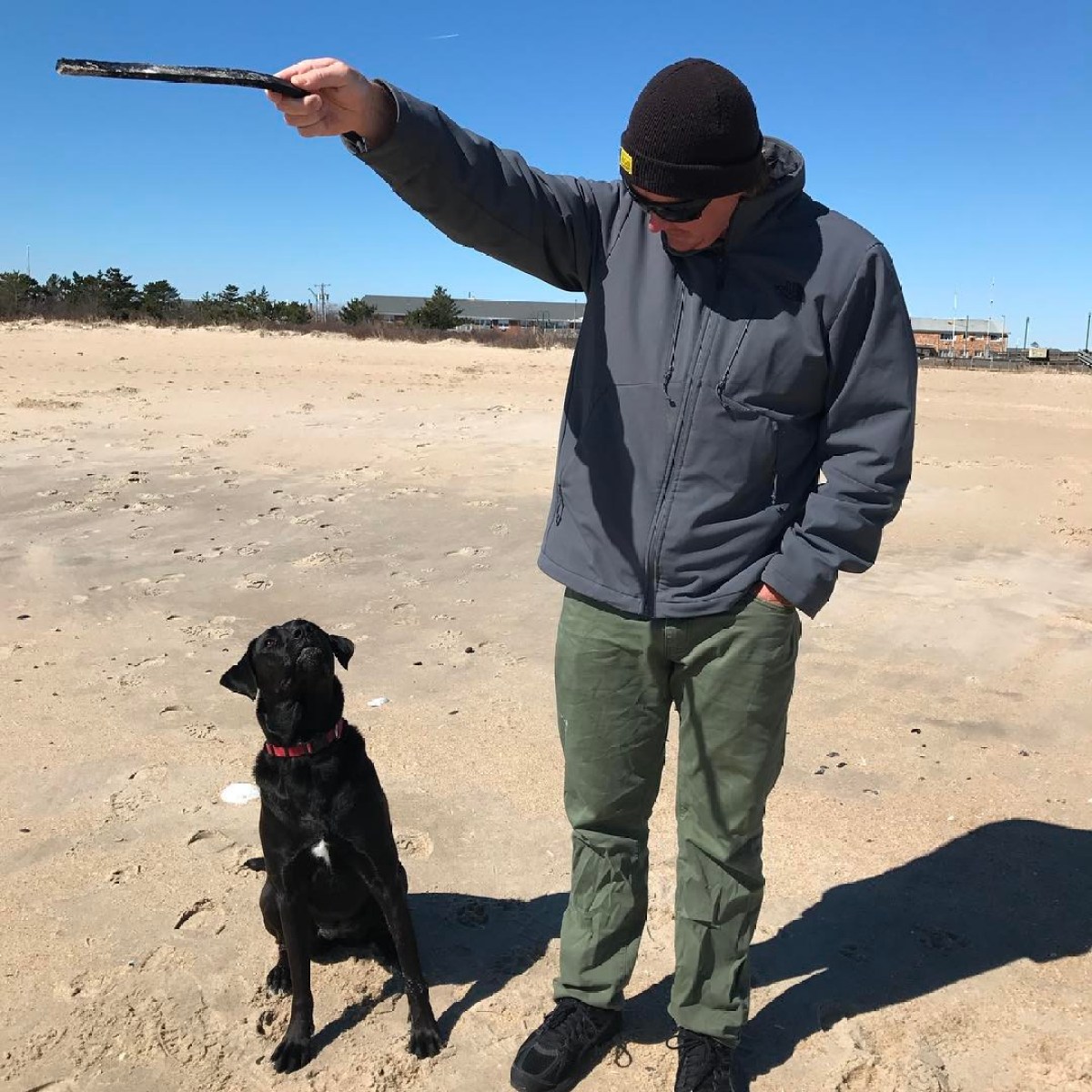 a man and a dog on a leash