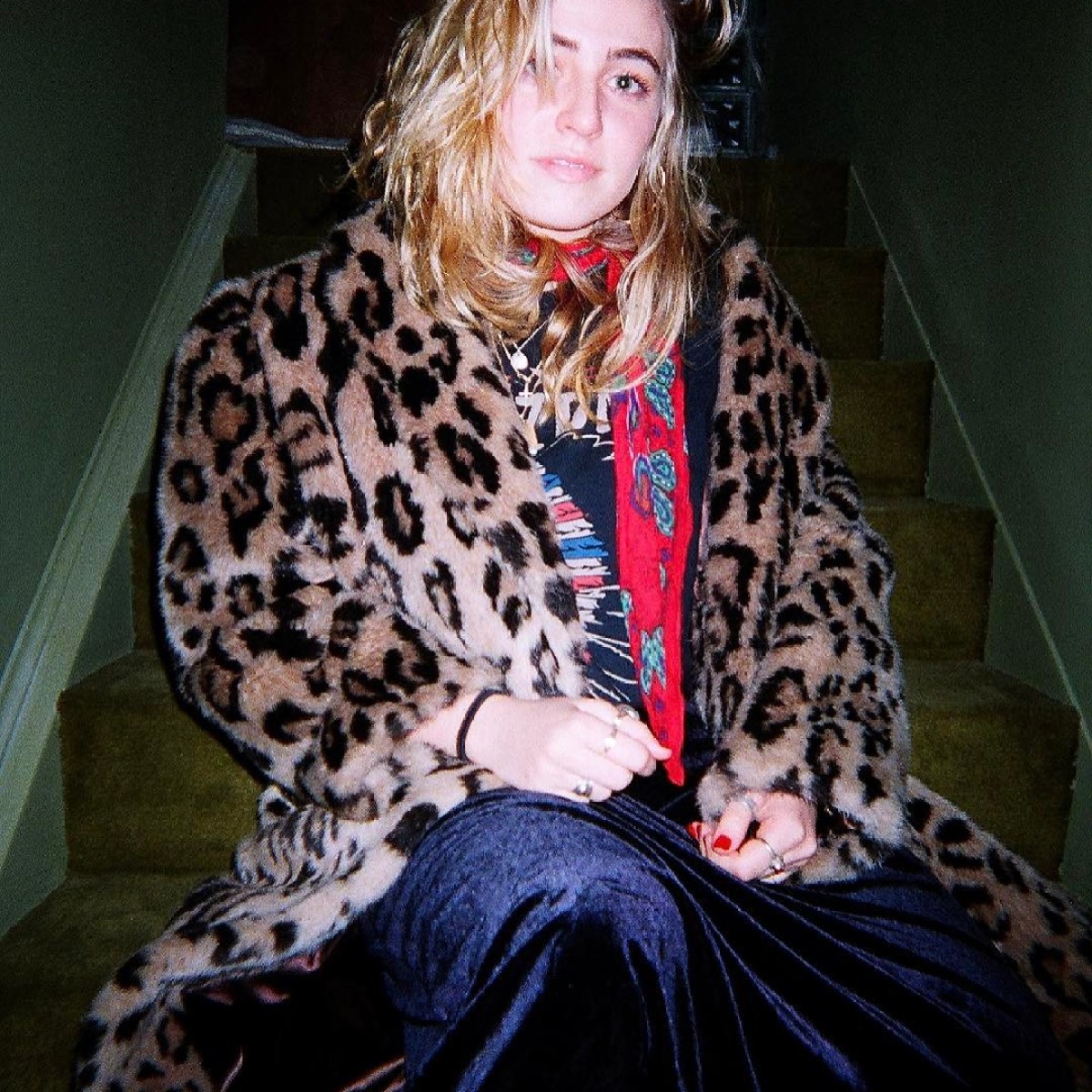 a person holding a cat