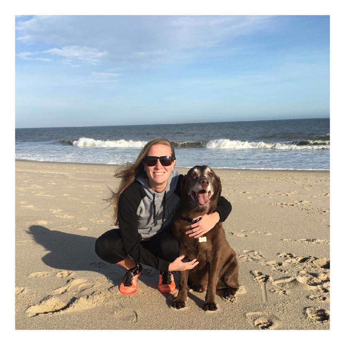 a dog sitting on a beach posing for the camera