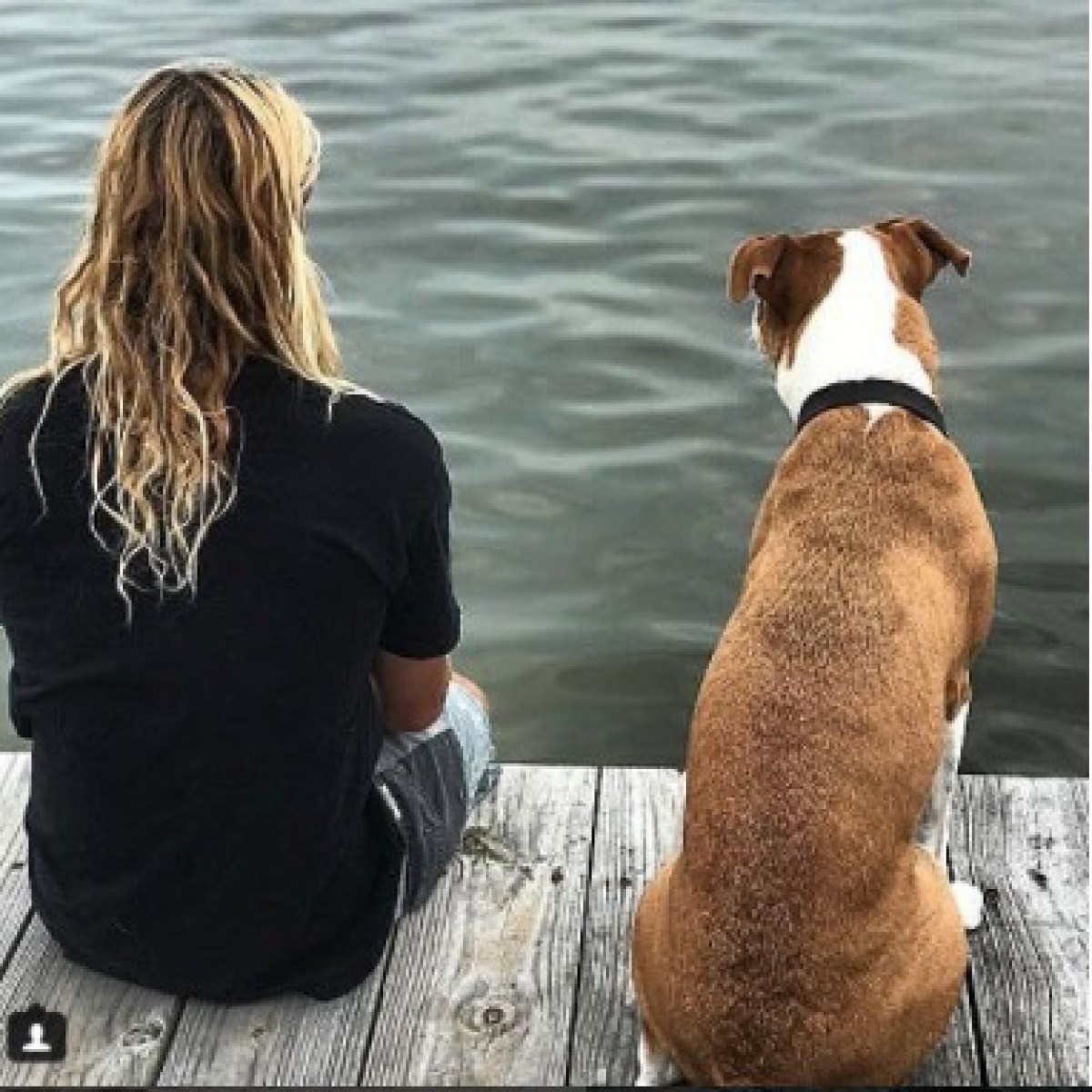 a person and a dog sitting in the water