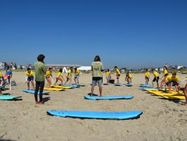 a group of people sitting at a beach