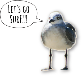 Let's Go Surf! Let's Go Surf!