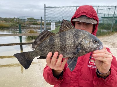a person holding a fish