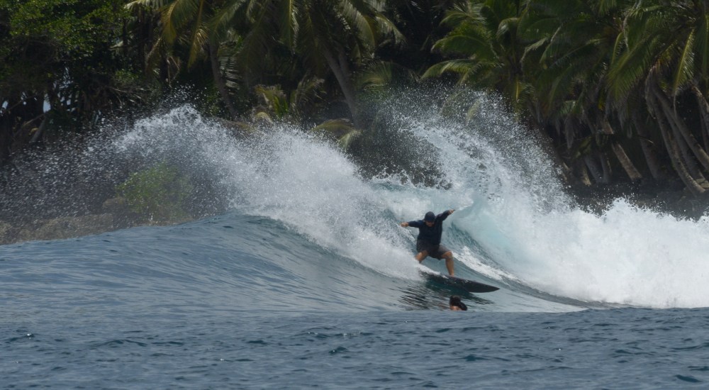 Surfer riding a wave near a tropical forest with palm trees in the background.