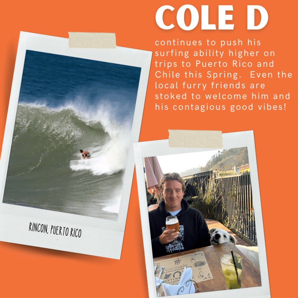 Surfing photo and dog at table with man, text on orange background.